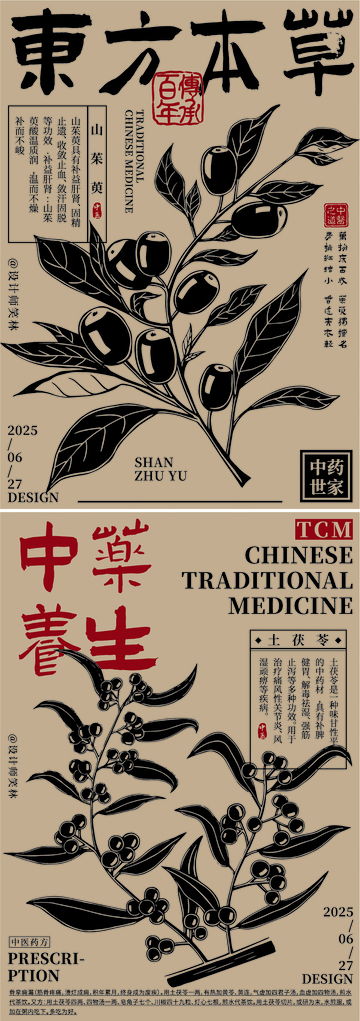 东方草本植物中医中药手绘海报设计