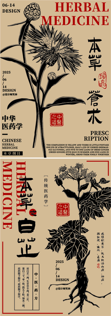 东方草本植物中医草药手绘海报设计