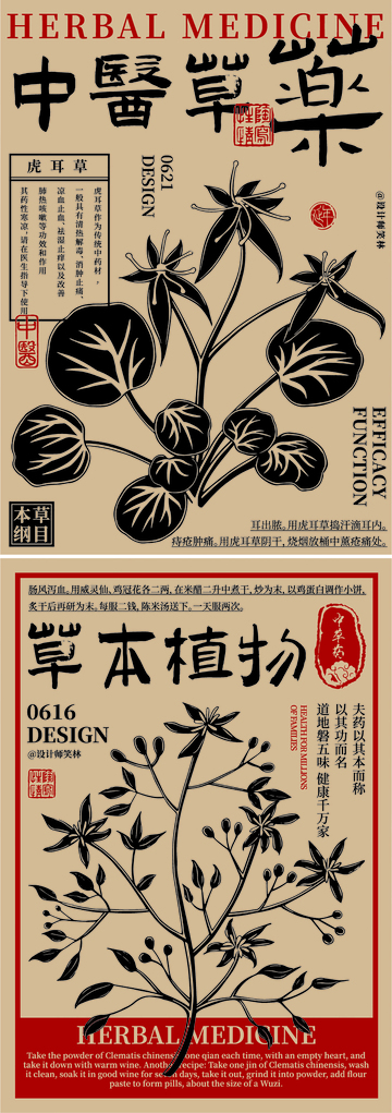 东方草本植物中医草药手绘海报设计