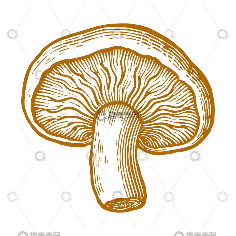 源文件下载【趣麦麦图】线稿线条蘑菇