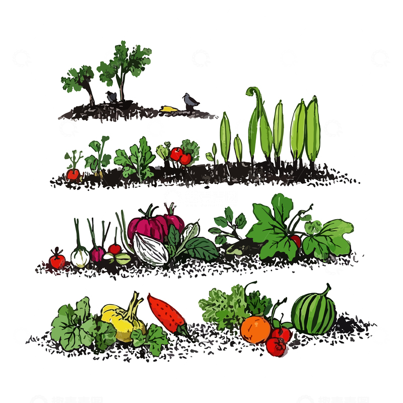 源文件下载【趣麦麦图】-蔬菜水彩插画