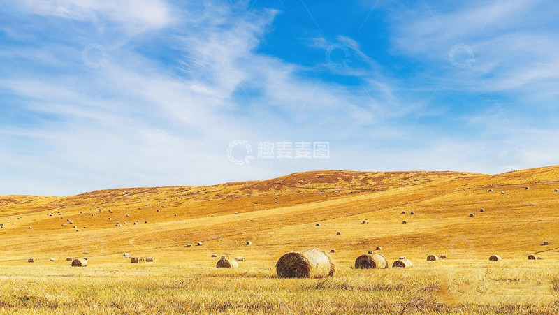 高清大图下载【趣麦麦图】金黄田野上的干草垛美景