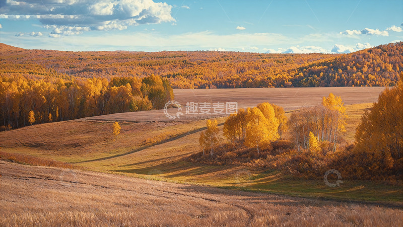 高清大图下载【趣麦麦图】-秋日广袤原野的绚烂风光2