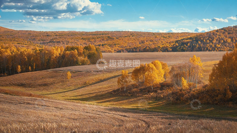 高清大图下载【趣麦麦图】秋日广袤原野的绚烂风光