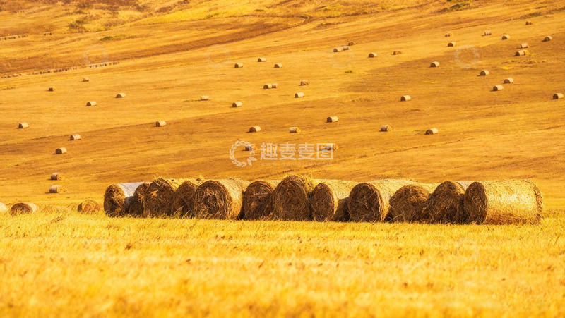 高清大图下载【趣麦麦图】金色田野中的干草卷美景