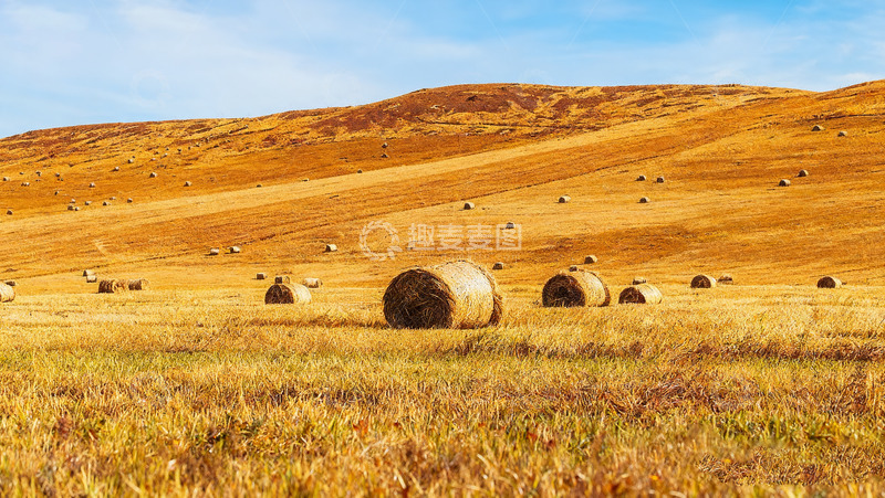 高清大图下载【趣麦麦图】秋日田野中的干草卷景观2