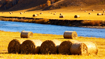 河畔金秋的草垛田园风光