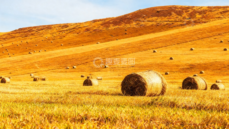 高清大图下载【趣麦麦图】金色田野上的干草卷美景