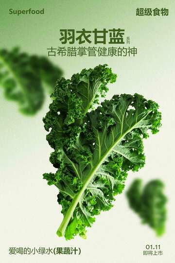 羽衣甘蓝绿色蔬菜美食海报