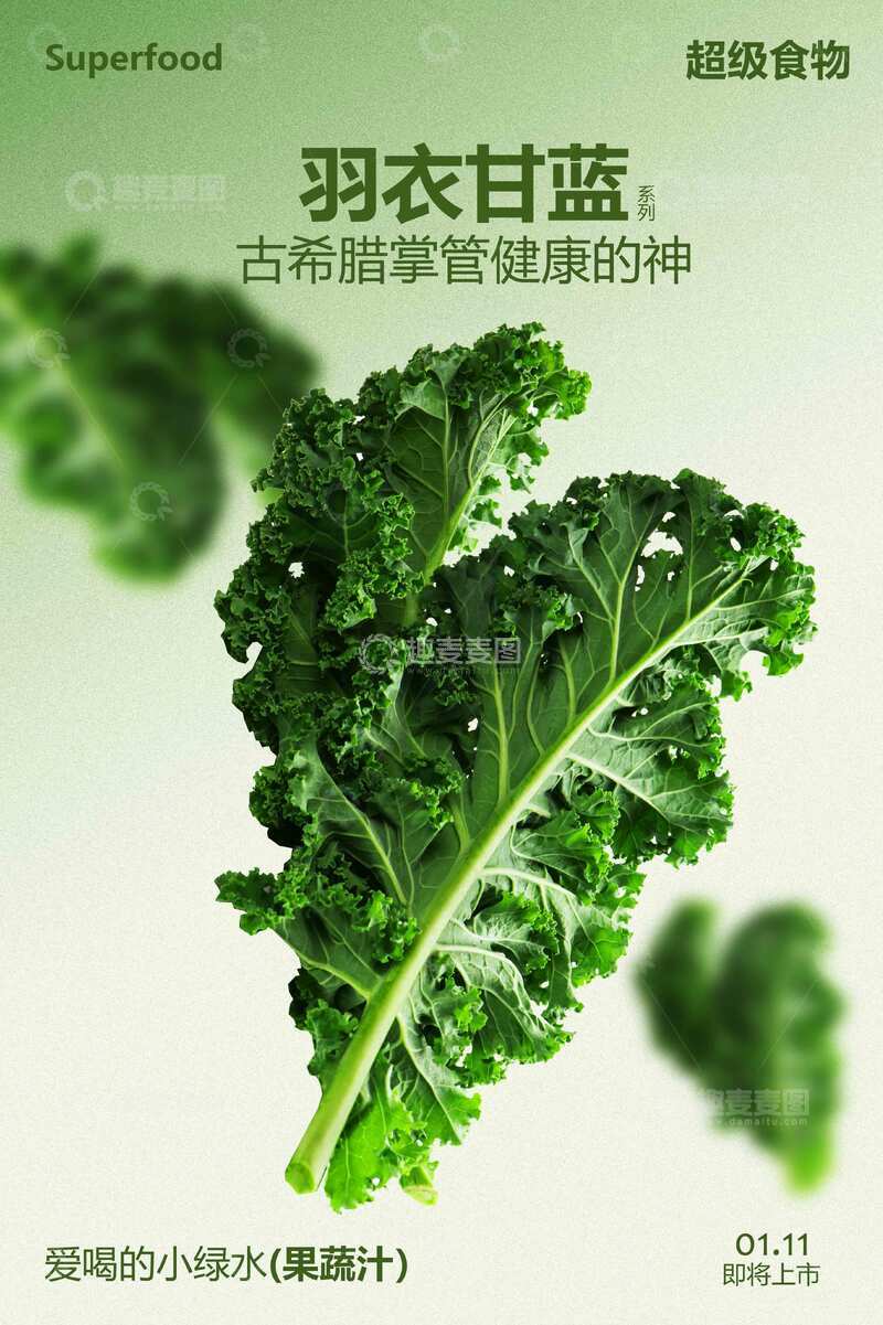 源文件下载【趣麦麦图】-羽衣甘蓝绿色蔬菜美食海报