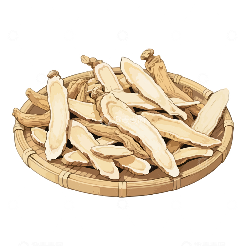 源文件下载【趣麦麦图】-中药党参插画2