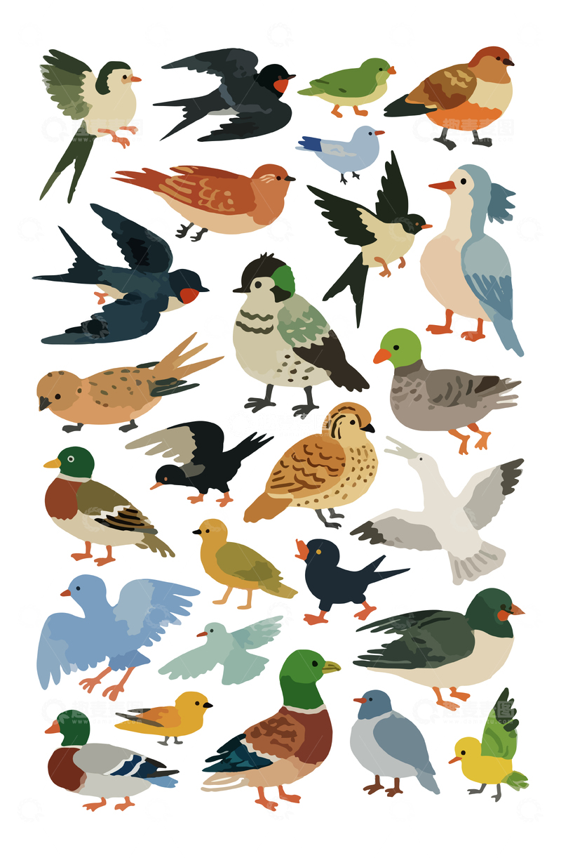源文件下载【趣麦麦图】-各种鸟类插画