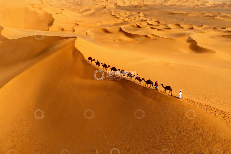 高清大图下载【趣麦麦图】壮丽广袤的金色沙漠景观4