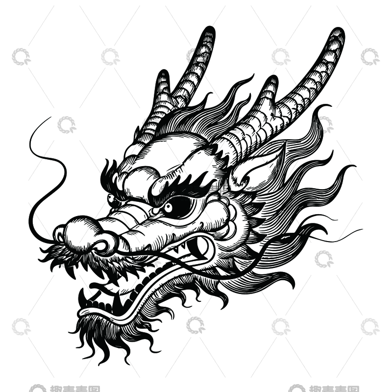 中国龙头黑白线稿1