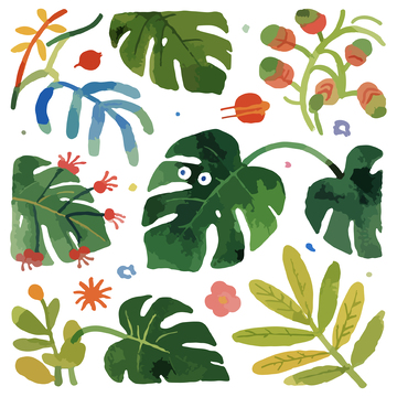 热带植物水彩插画