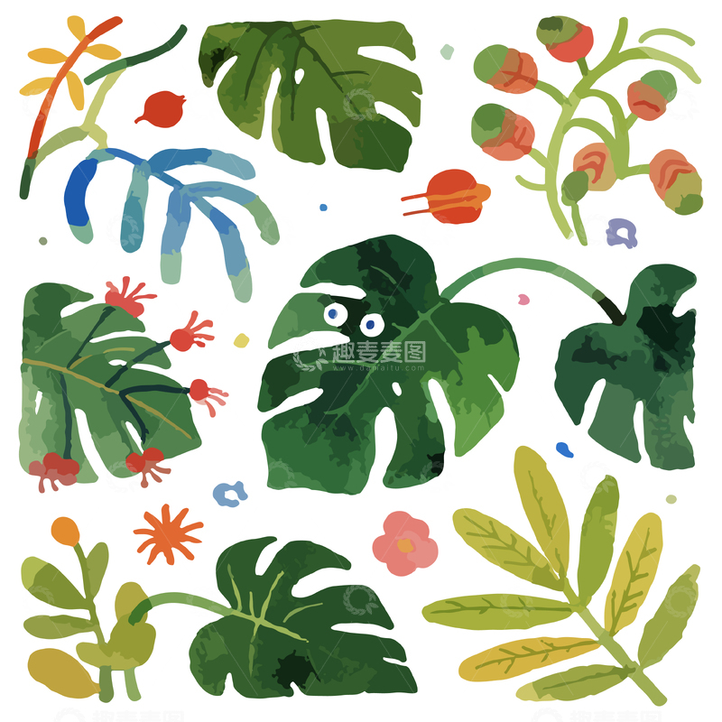 热带植物水彩插画