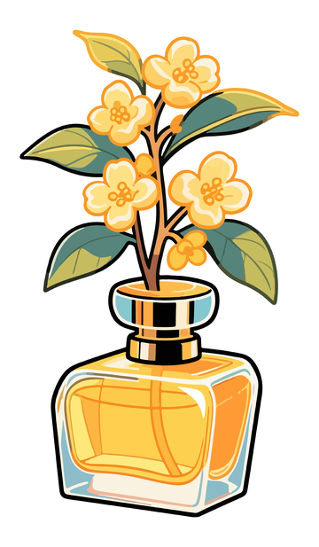桂花香水插画4