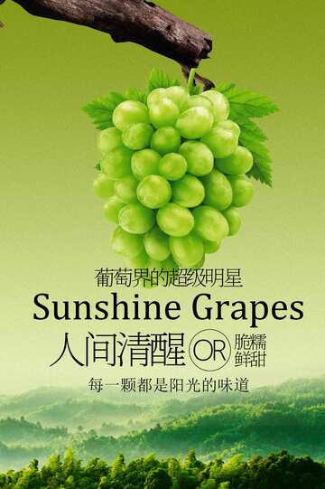 青提葡萄水果宣传海报
