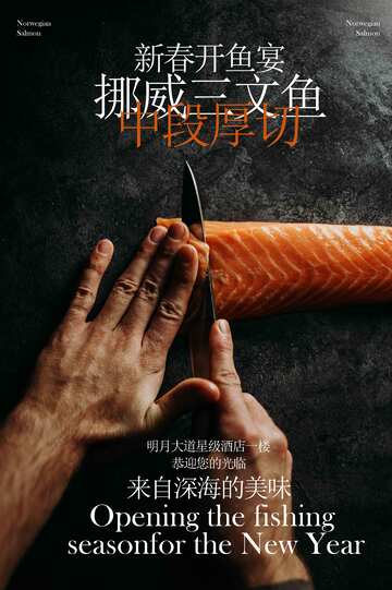 挪威三文鱼美食海报