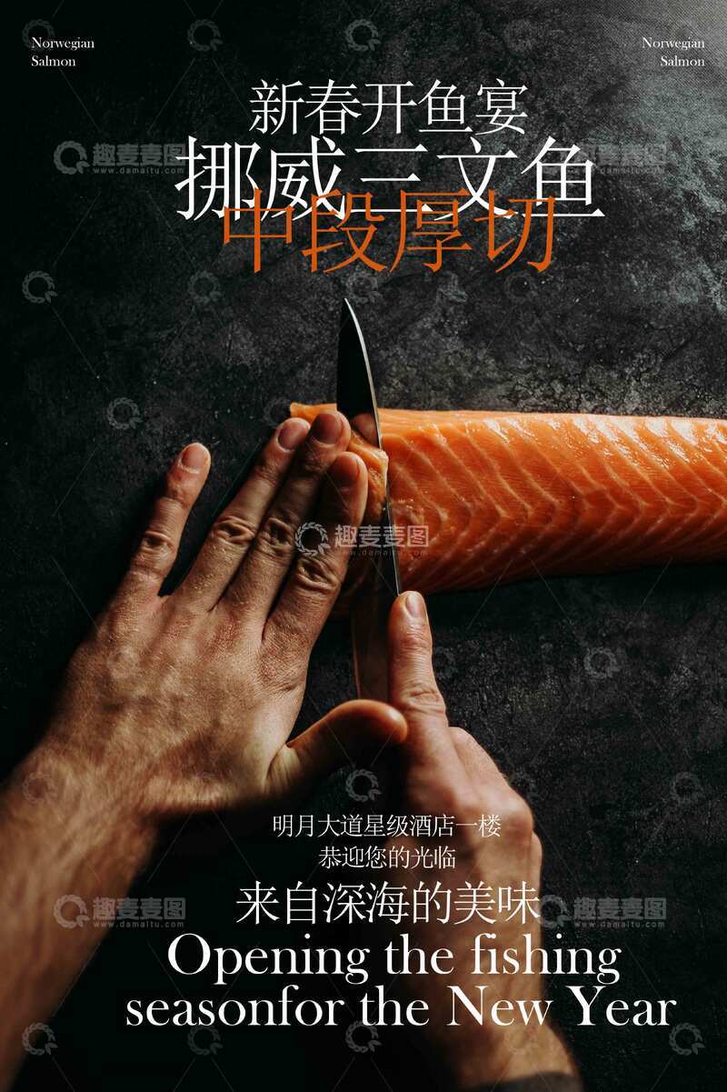 挪威三文鱼美食海报