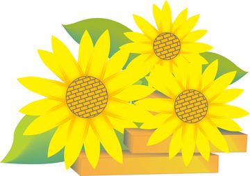 向日葵插画素材