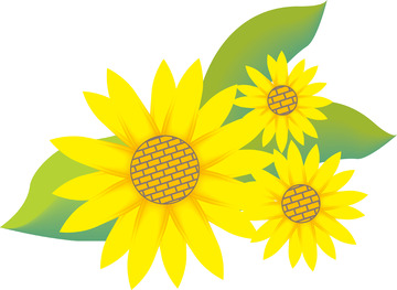 三朵向日葵插画素材元素