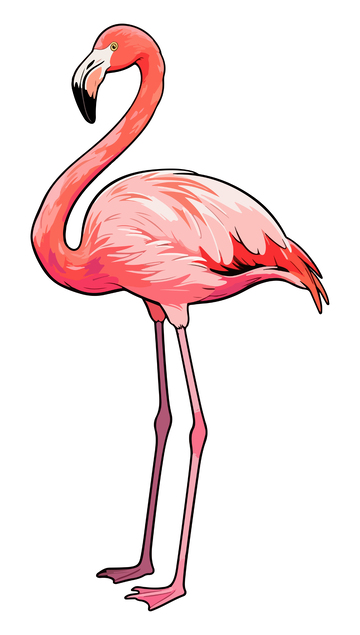 一只火烈鸟插画