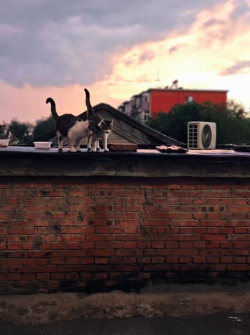 夕阳下友情的温度