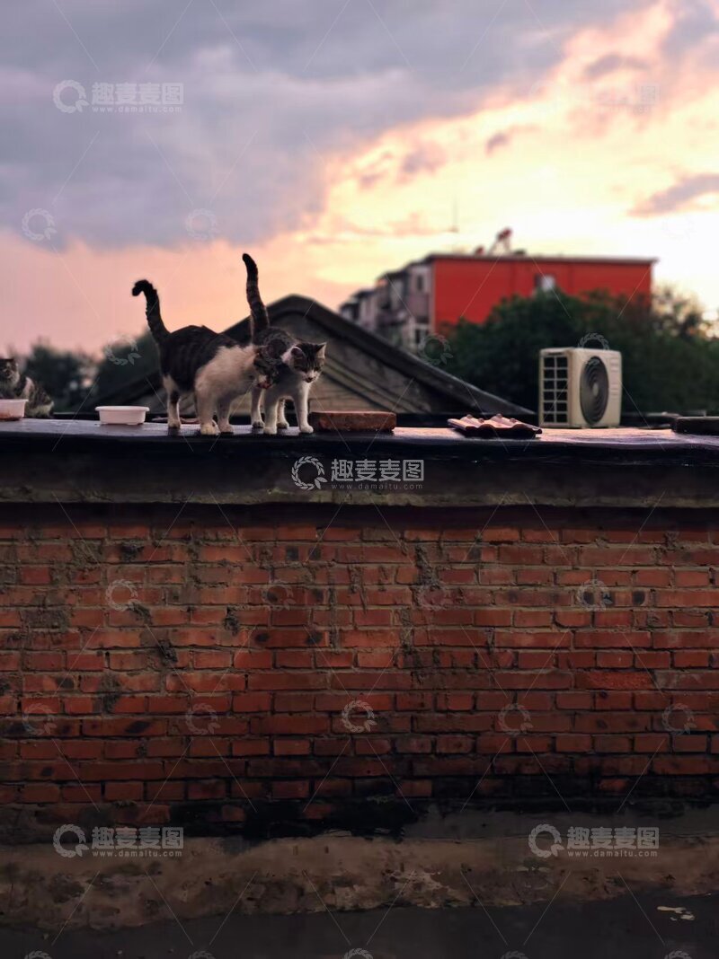 夕阳下友情的温度