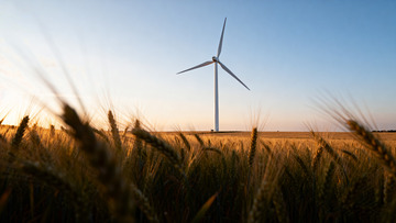 麦田中的风力发电机