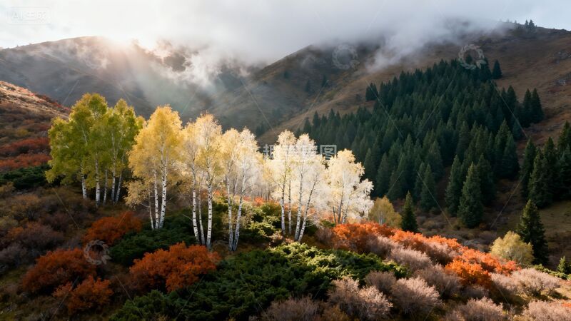 高清大图下载【趣麦麦图】实拍风格夏秋植被变化商业照片