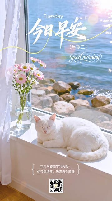 今日早安唯美猫咪海报风景励志文字