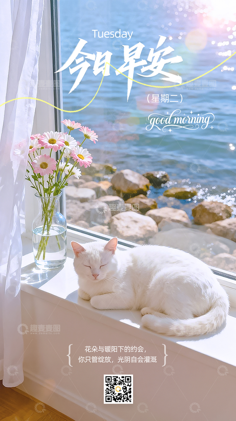 源文件下载【趣麦麦图】-今日早安唯美猫咪海报风景励志文字