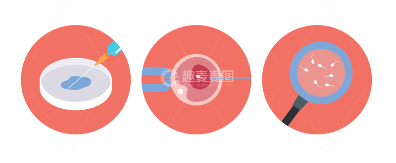 源文件下载【趣麦麦图】人工授精过程图示医学插画