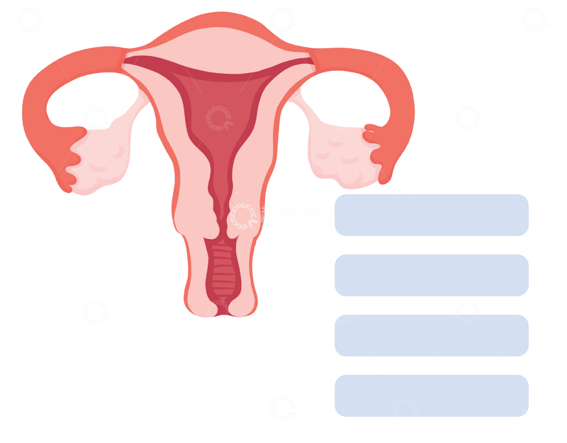 源文件下载【趣麦麦图】-人工授精过程图示医学插画