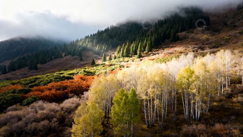 高清大图下载【趣麦麦图】全景拍摄山地植被实拍风格照片