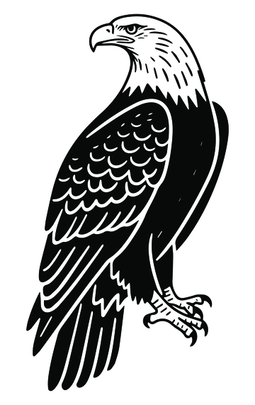 黑白线稿老鹰