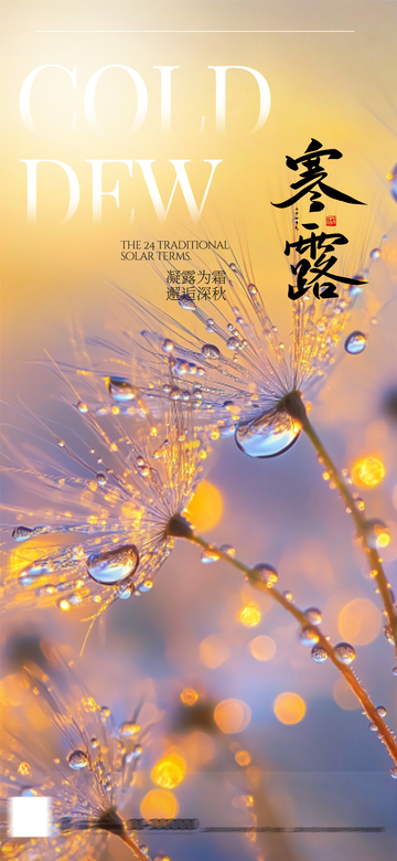 寒露简约节气画报