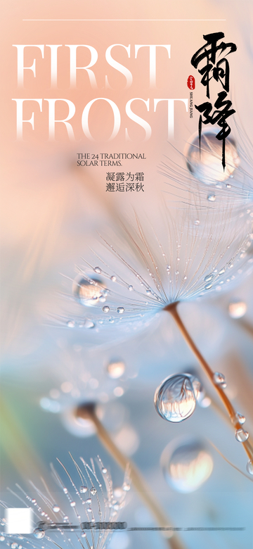 霜降简约节气画报