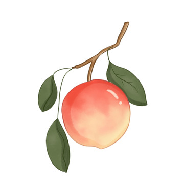 手绘桃子插画