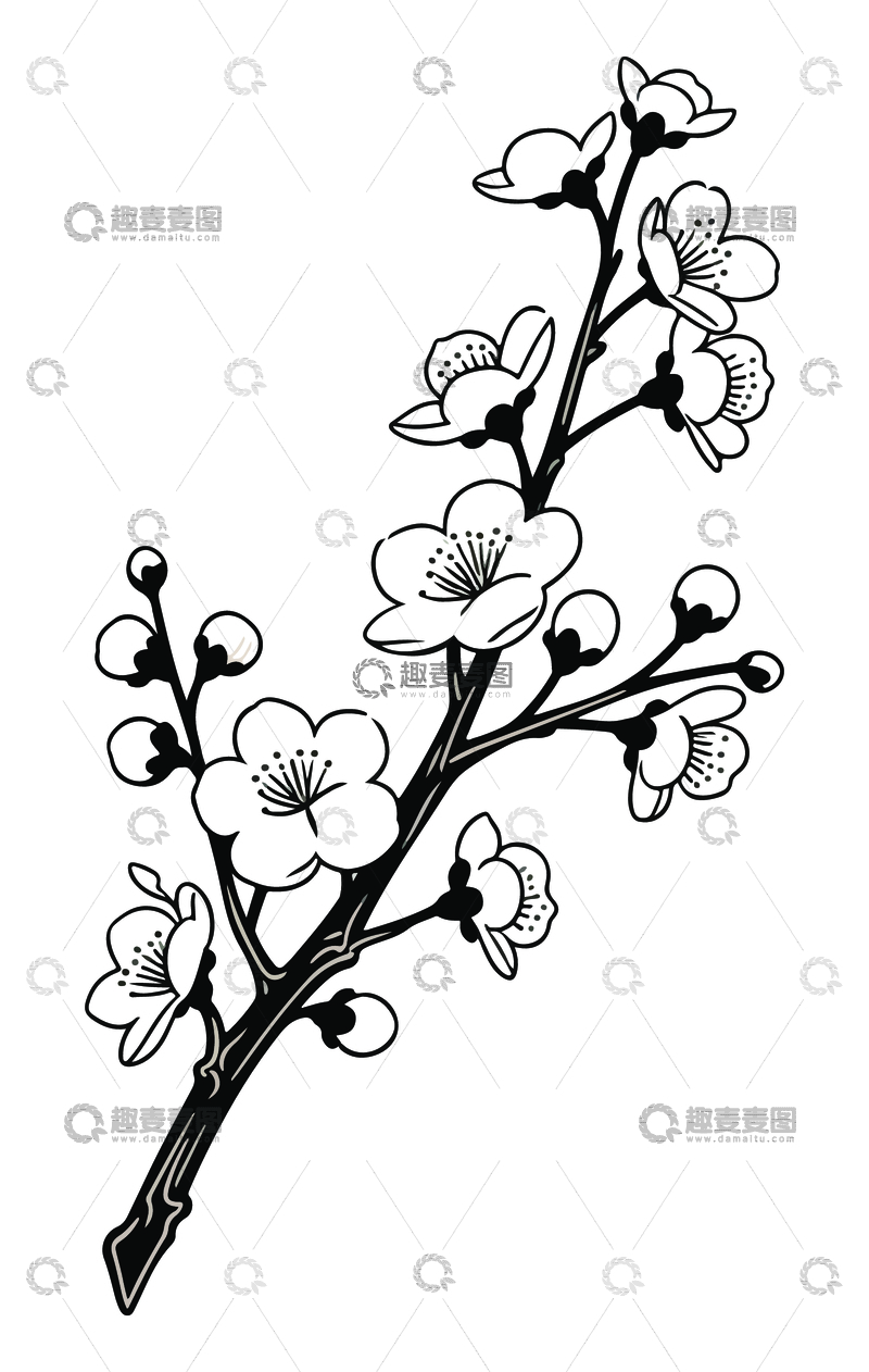 梅花黑白线稿