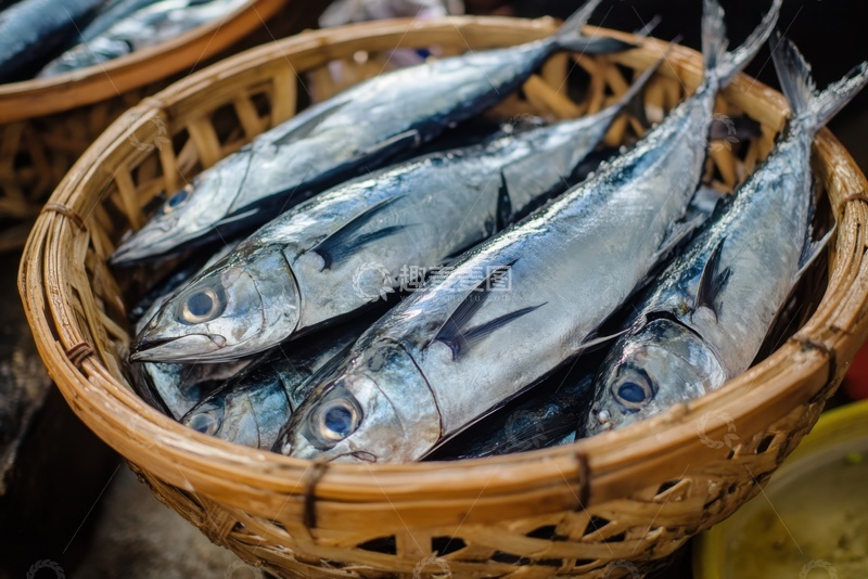 高清大图下载【趣麦麦图】一篮子新鲜的海鱼