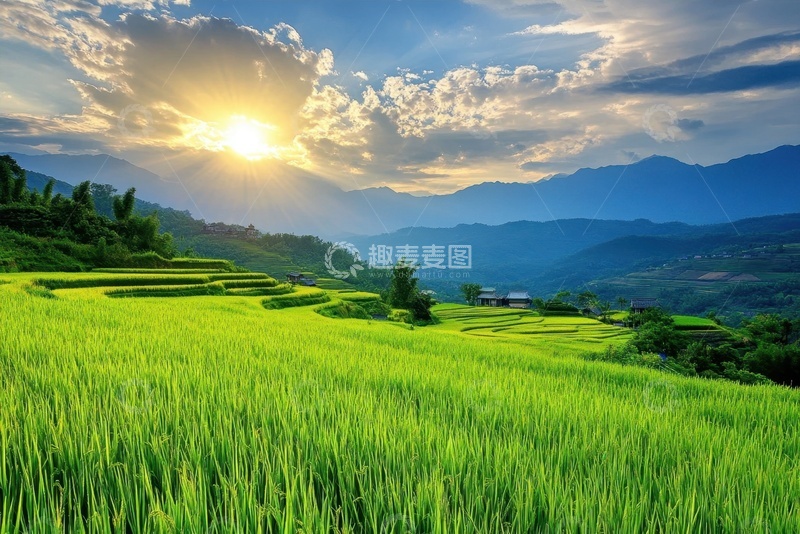 高清大图下载【趣麦麦图】乡村里的稻田美景
