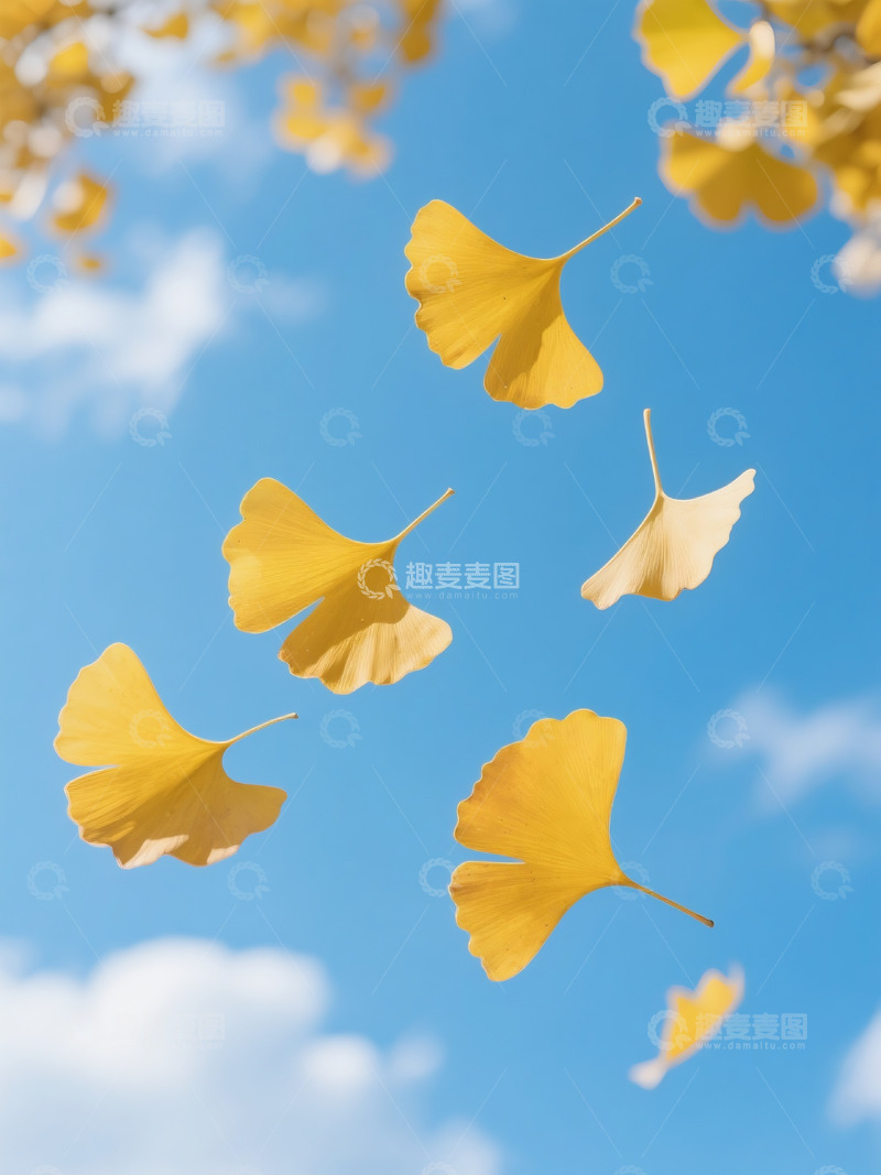 高清大图下载【趣麦麦图】秋季落叶摄影图2