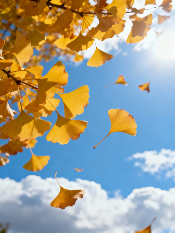 秋季落叶摄影图5