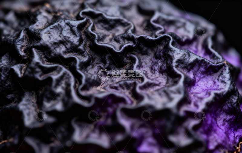 高清大图下载【趣麦麦图】花朵植物摄影4