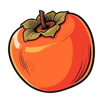柿子水果插画3