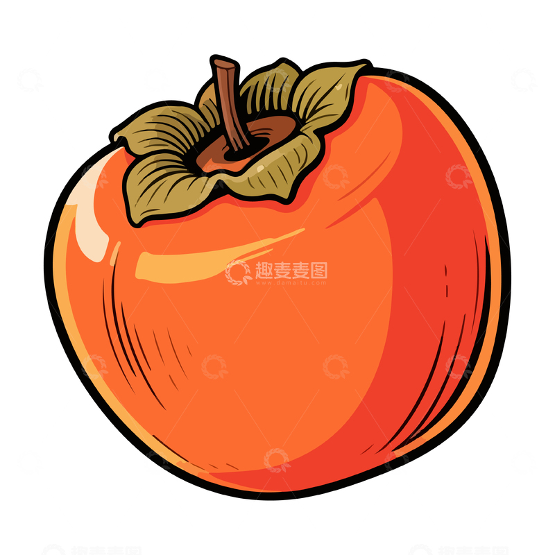 源文件下载【趣麦麦图】柿子水果插画3