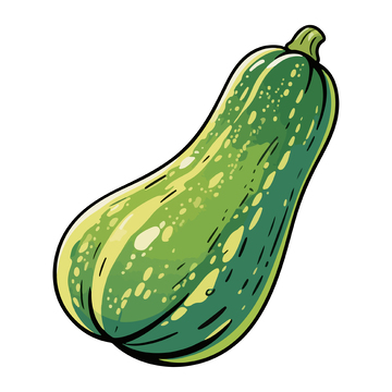 未成熟的小南瓜