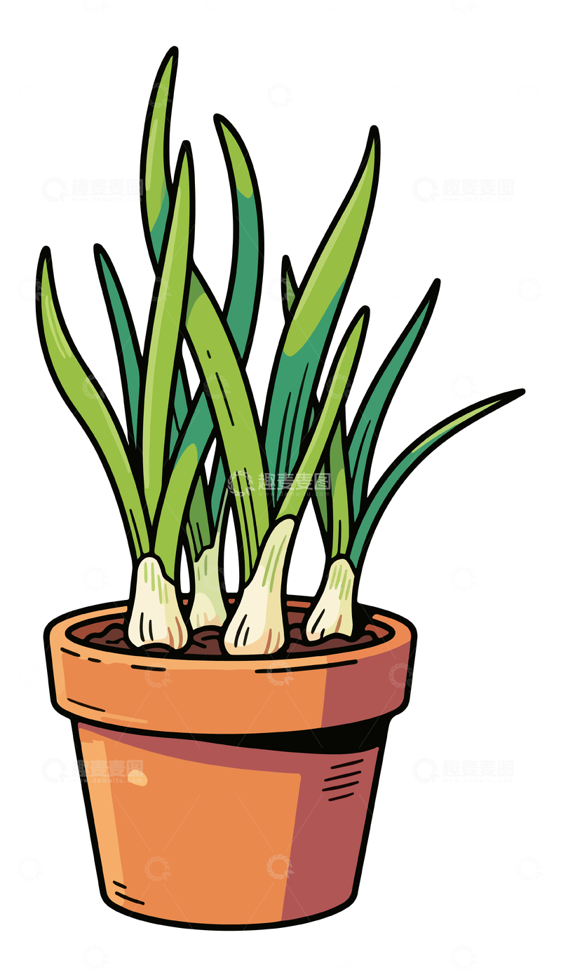 源文件下载【趣麦麦图】一盆小葱盆栽